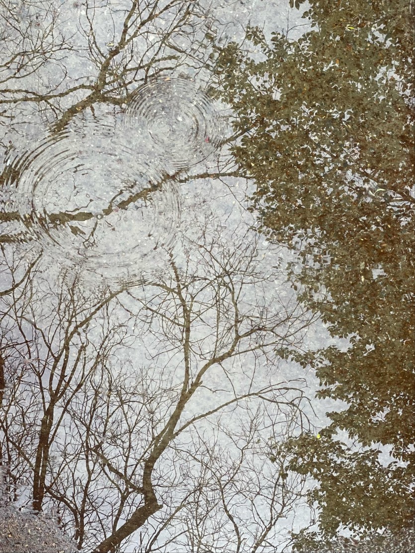 72236239e19799023d3df73d36c65274_1778770816_8217.jpg